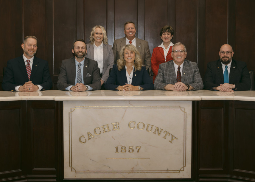 County Council, County Executive, County Clerk/Auditor