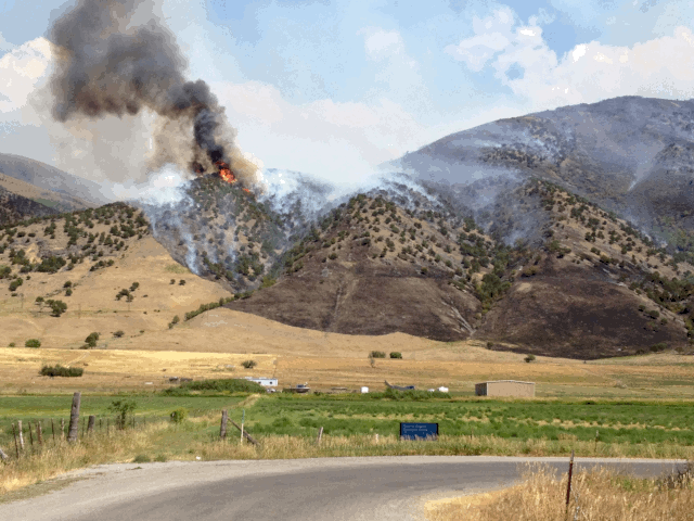 Due to current and forecasted weather conditions coupled with the extremely dry vegetation conditions in Cache , the State Forester, in consultation with the Director of State Parks has determined that measures must be taken to prevent the ignition of forest and rangeland fires.