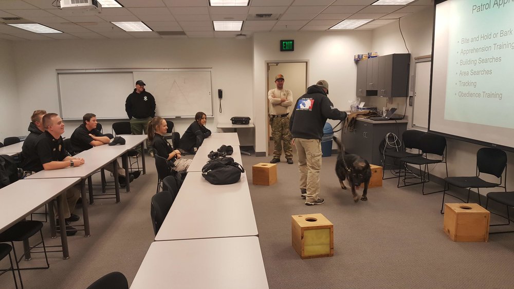 k9 program