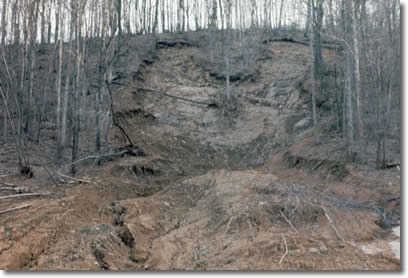 Mudslide