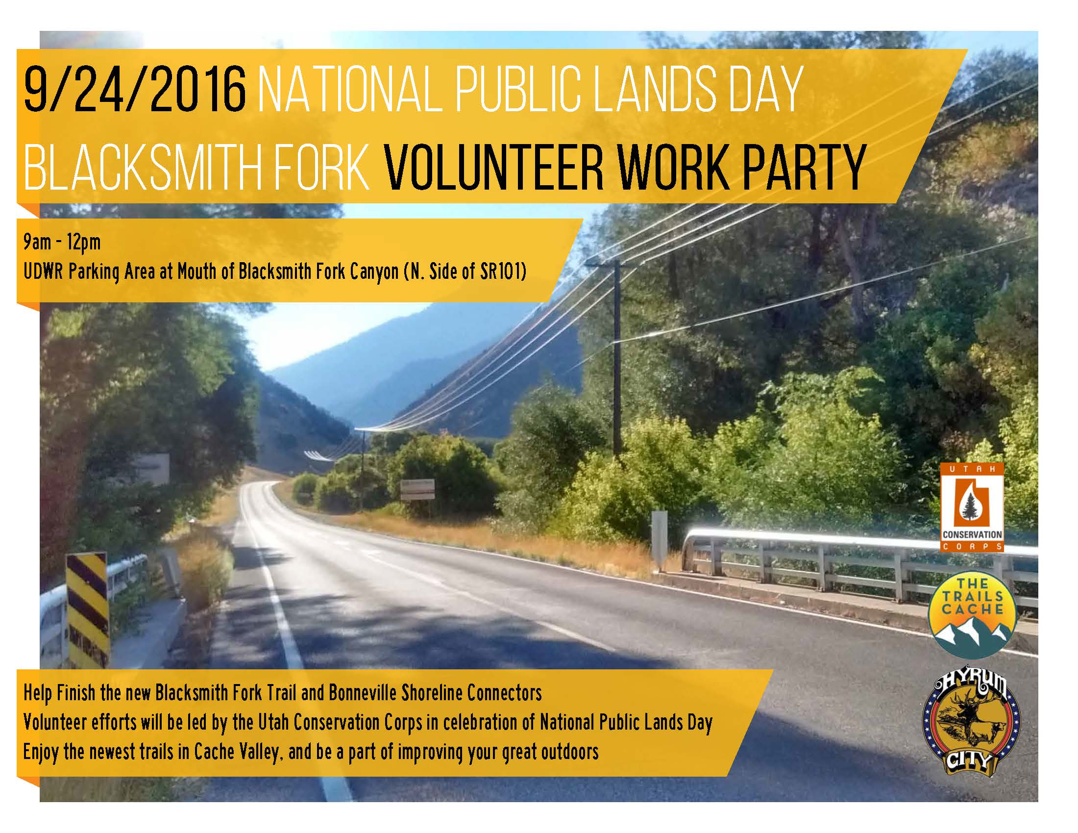 BSF Volunteer Workparty